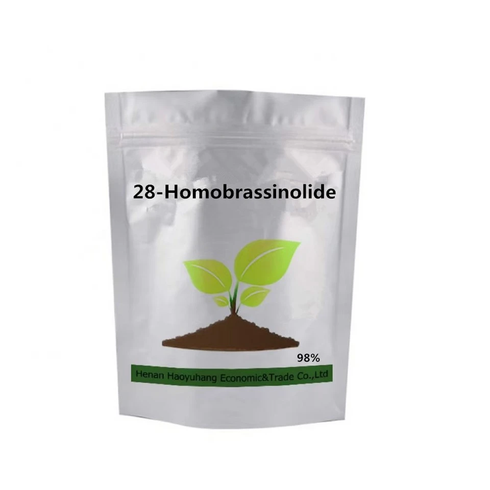 28-Homobrassinolide