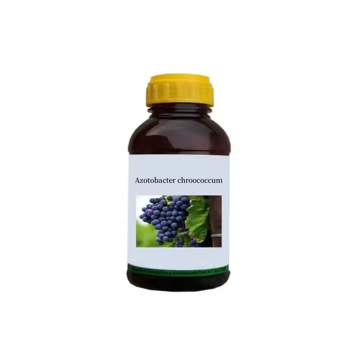526-08-9 Azotobacter