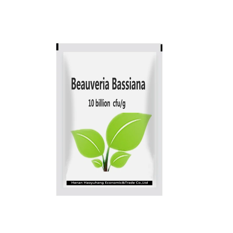 Beauveria Bassiana Bacterias Microorganism Insecticide Beauveria Bassiana