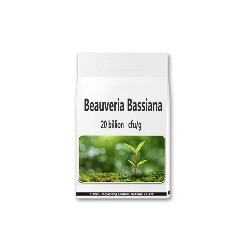 Beauveria Bassiana Bacterias Microorganism Insecticide Beauveria Bassiana