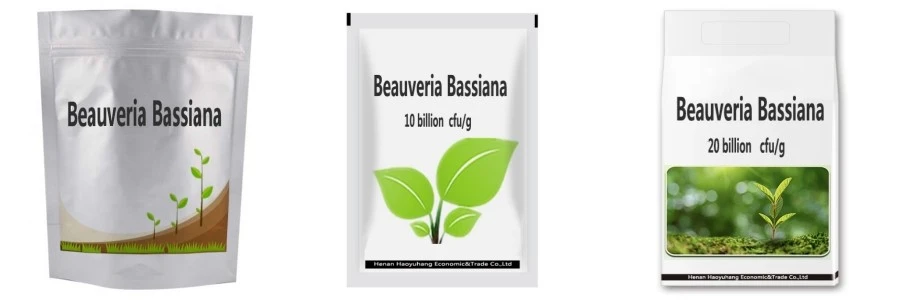 Beauveria Bassiana Beauveria Bassiana