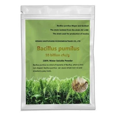 Biologische meststoffen fungicide bacillus pumilus 10 miljard CFU/g