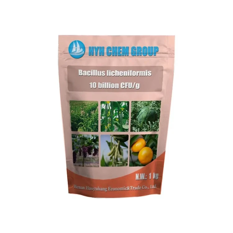 Wholesale Prices Feed Additive Probiotic Biological Products Bacillus Licheniformis